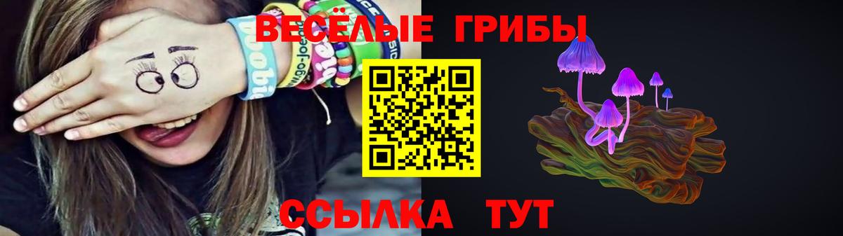 Галлюциногенные грибы Psilocybine cubensis  Вход с VPN  Галлюциногенные грибы Psilocybe  даркнет сайт  Новороссийск 
